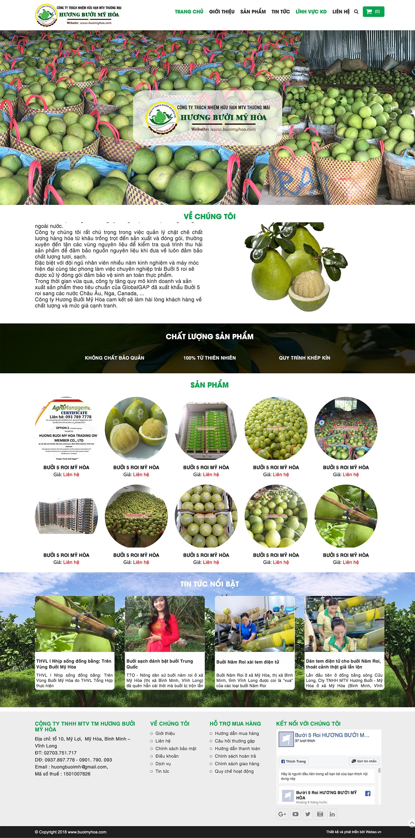 Mẫu website trái cây sạch 13508