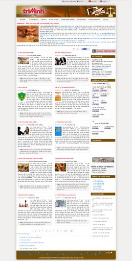 Mẫu website luật 10172